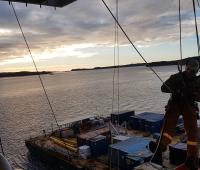 Rope Access